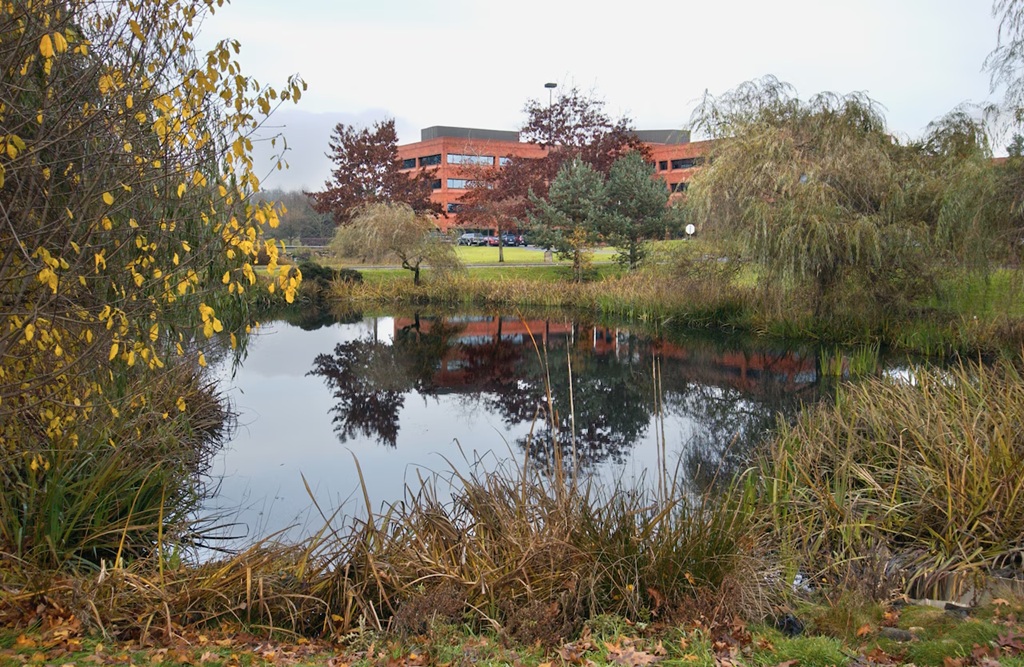 Siemens OR Compus Closes.jpg