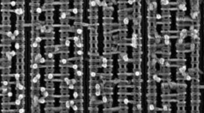 TSMC N5 fins gates and contacts.png