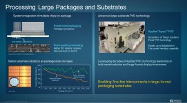 AMAT panel level package.JPG