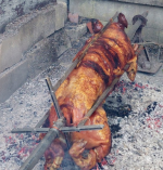 pig2026.png