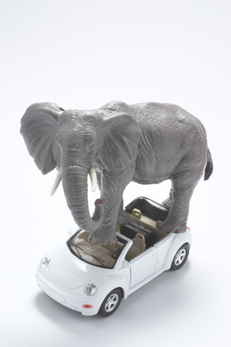 20730-elephant-autonomous-car-min.jpg