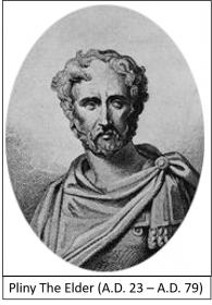 20811-pliny-min.jpg