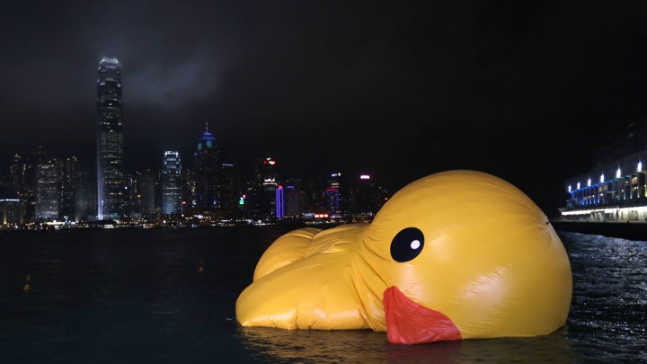 22507-deflated-duck.jpg