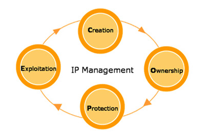  ip management