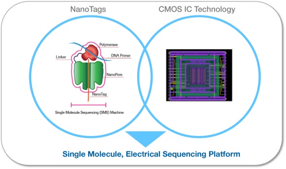 Successful Mixed-signal SoCs