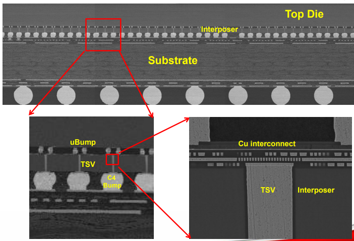 CoWoS cross section