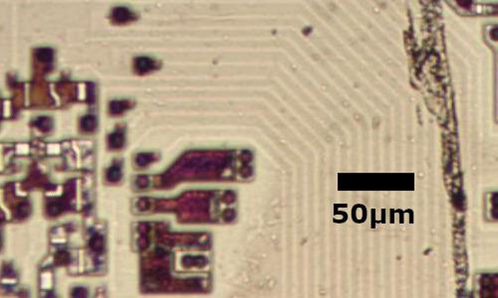 Polysilicon traces on the older 8086 chip.