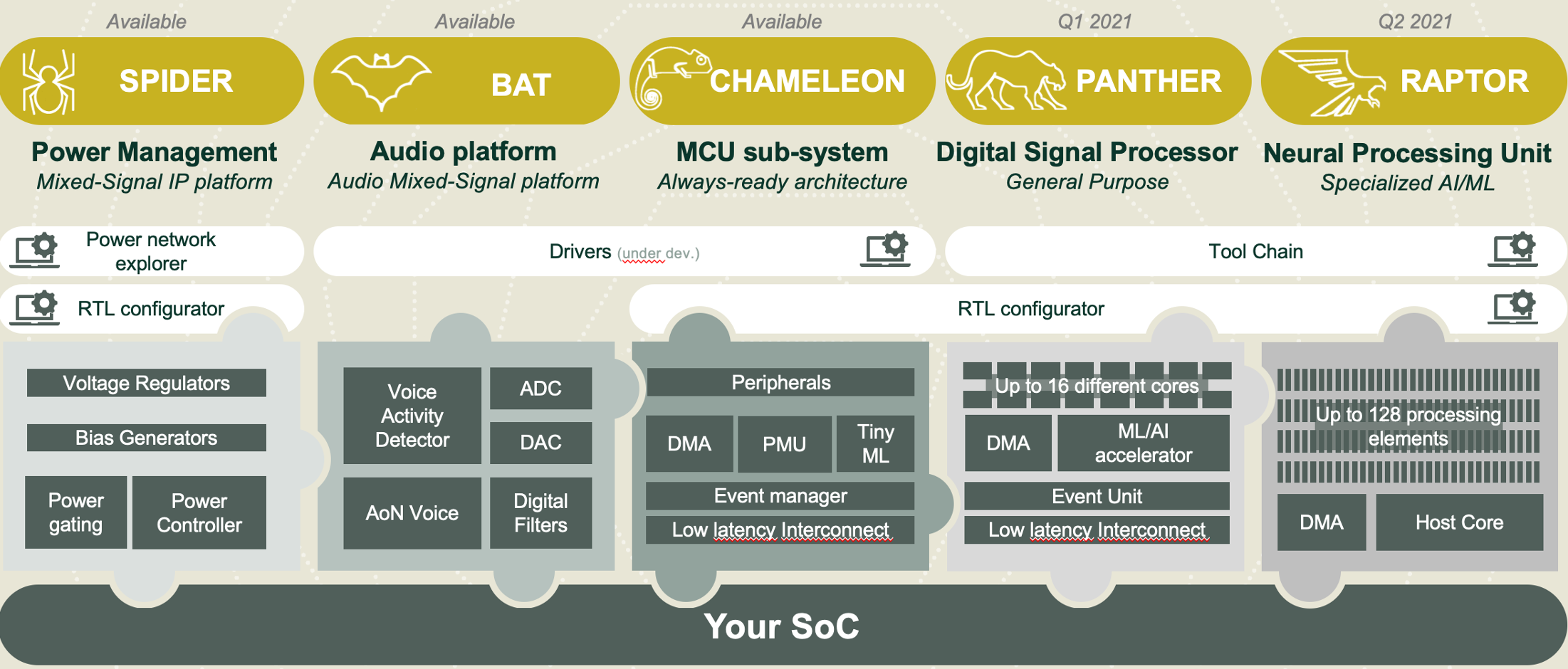 Dolphin Design Platforms and Subsystems