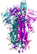 COVID spike protein min