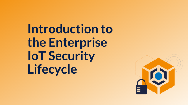 Introduction to the Enterprise IoT Security Lifecycle