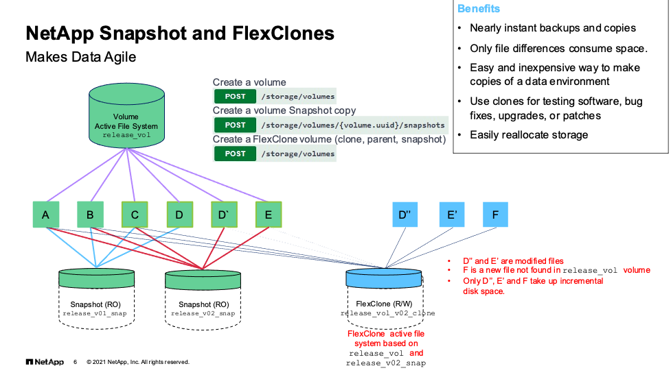 NetApp Snapshots and FlexClones