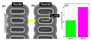 Thick IO and thin gate oxide HNS