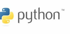 Python in Verification