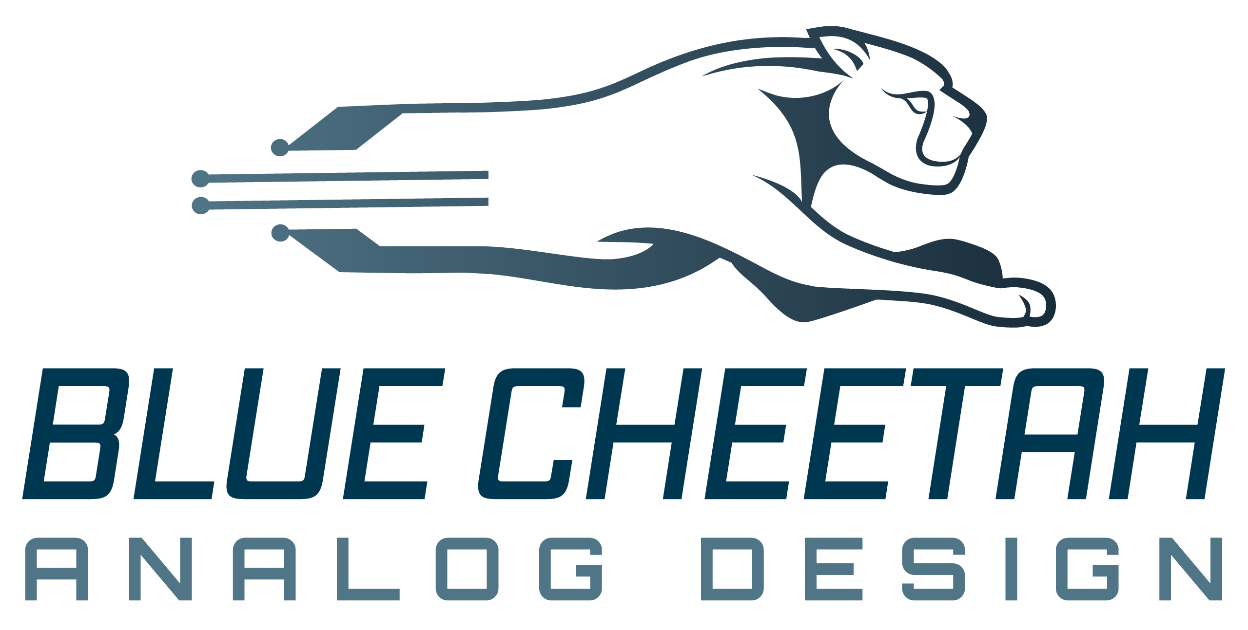 Blue Cheetah logo 2560x1294