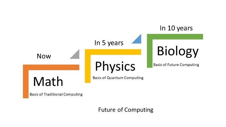 Math Physics Biology