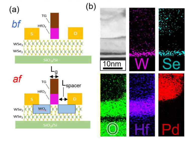 Iedm 2024 Tsmc Taiwan Nita Alvinia