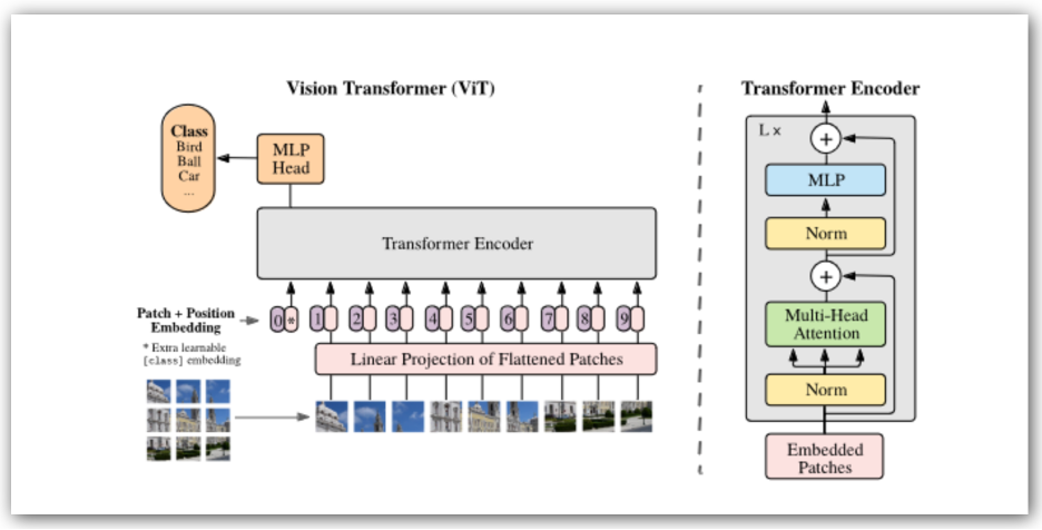 Vision Transformers Challenge Accelerator Architectures