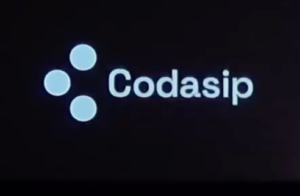 Codasip slide