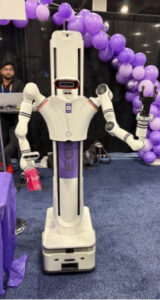 Robots CES 2025