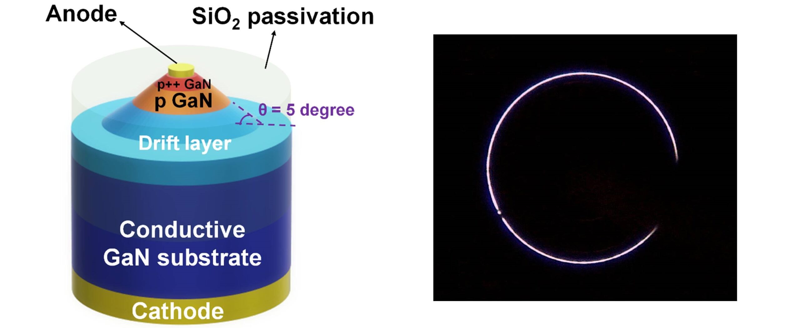 fig2