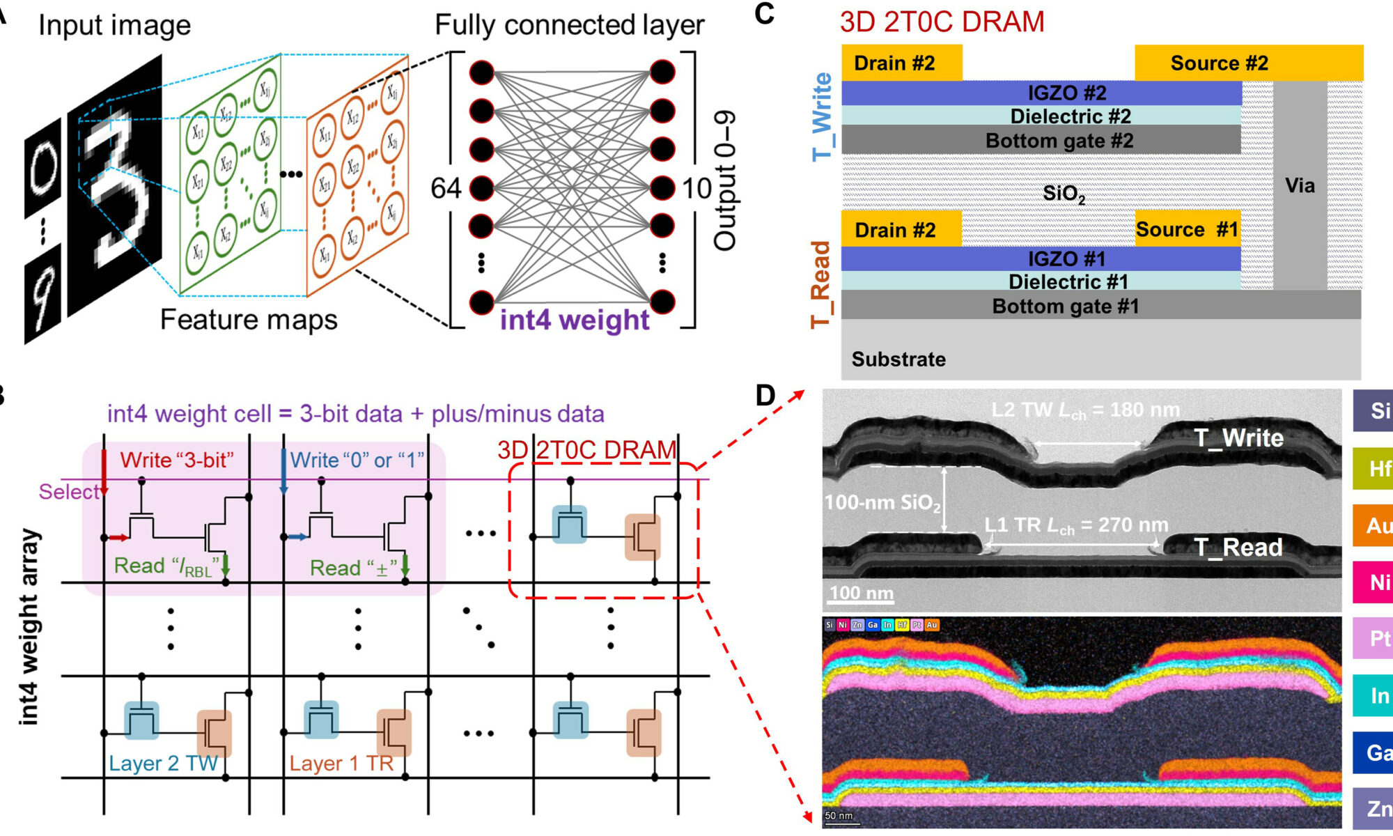 3D stacked IGZO 2T0C DRAM array with multibit capability for computing in memory applications