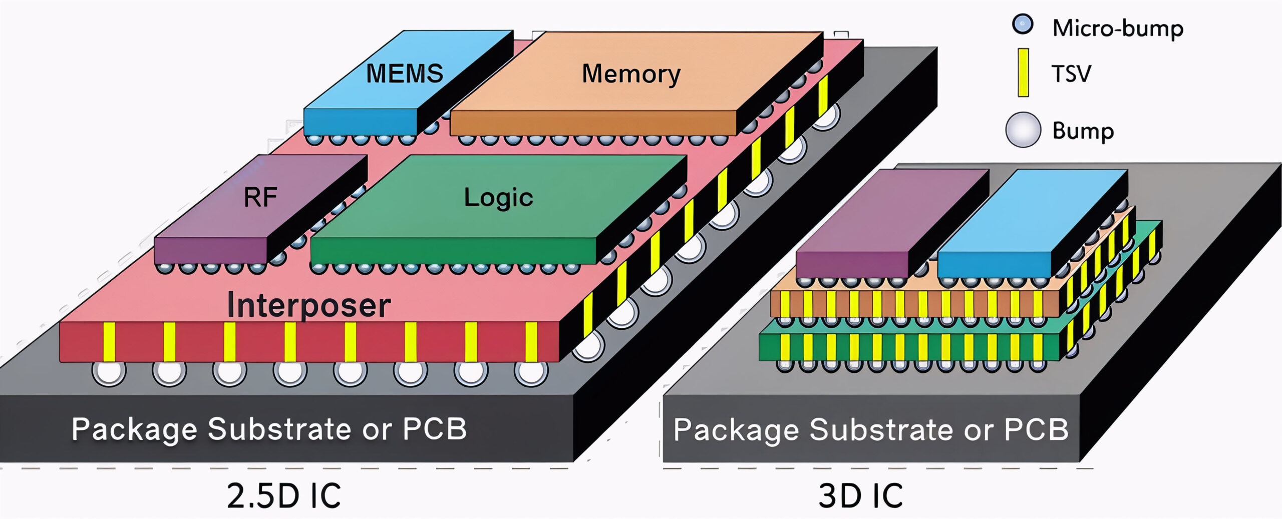 fig1 3d structures