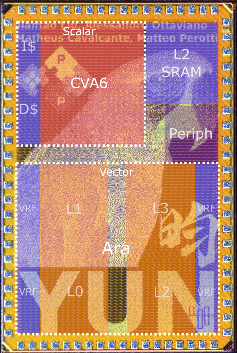 yun chip hier yun chip hier ara